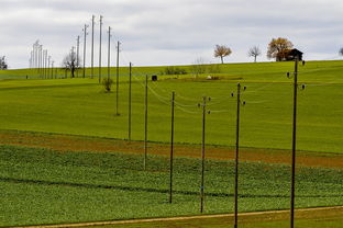 九游官方正版游戏中心-球员体能负荷评估工具上线助力教练科学制定训练计划，体育负荷强度
